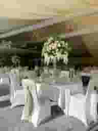 Sustainable Venues