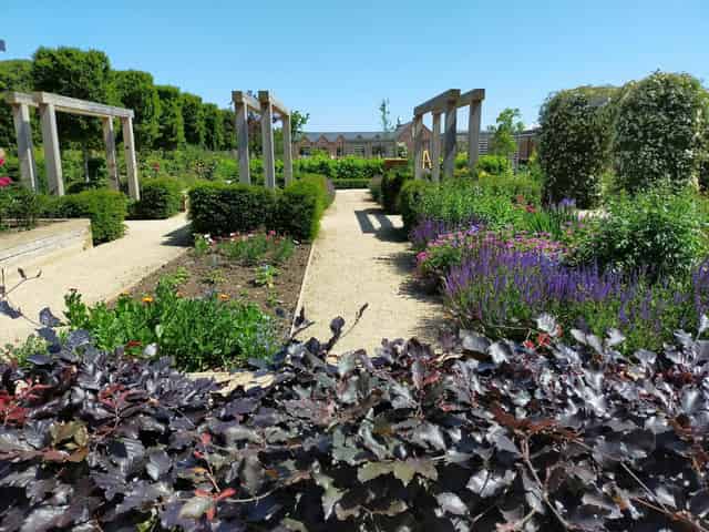 Kirkleatham Walled Garden