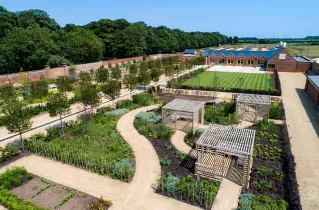 Kitchen Garden