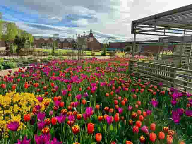 Kitchen Garden