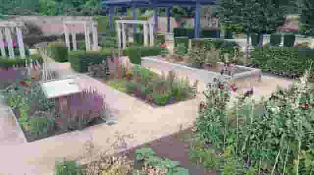 Kitchen Garden