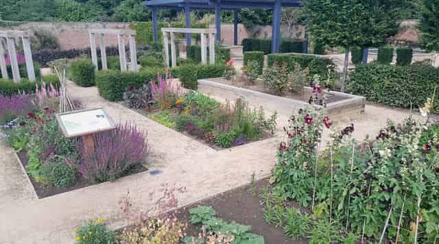 Kitchen Garden