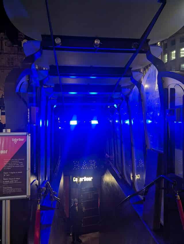 CellarDoor