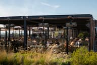 Outdoor Terraces