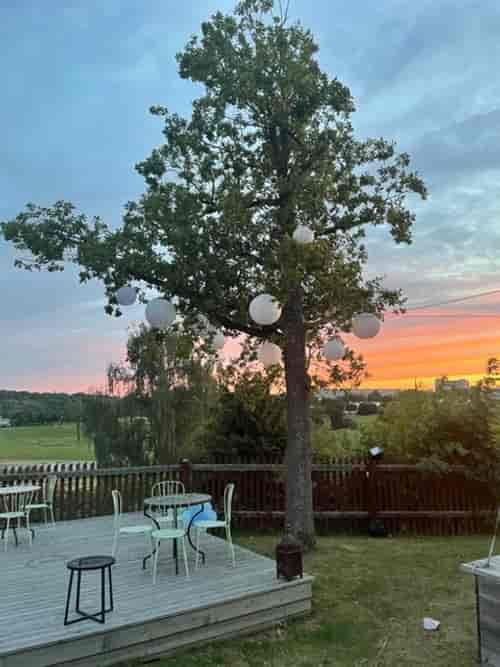 Outdoor garden sunset reception decor at Kungliga Borgen with natural ambiance.
