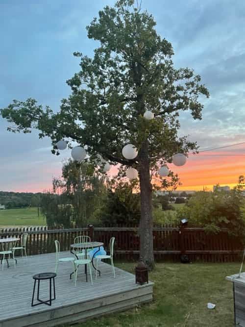 Outdoor garden sunset reception decor at Kungliga Borgen with natural ambiance.