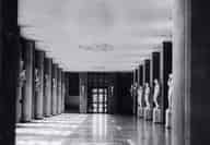 Reception Venues