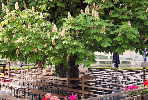 Outdoor Zollpackhof beer garden with long-table seating for summer corporate events.