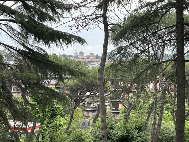 La Sala Aurelia