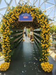 Party Venues