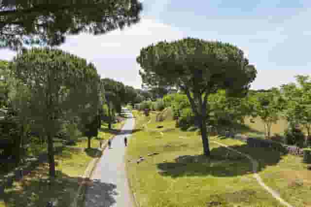 Park