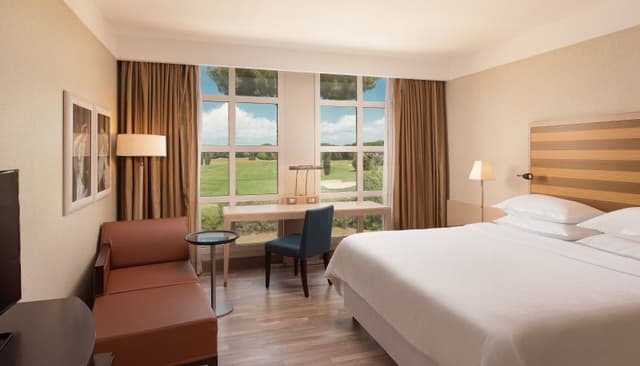 Hotel, Accommodation & Plenary