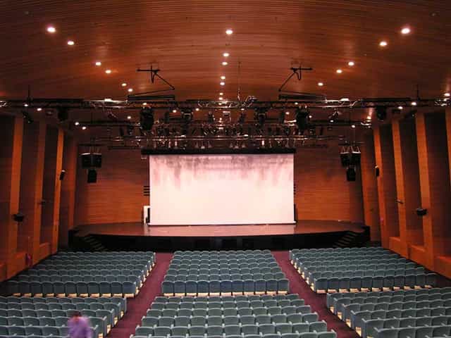 Wood-paneled auditorium with fixed seating for corporate presentations and formal assemblies.