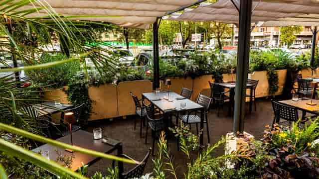 Outdoor patio restaurant at Trilussa Palace Hotel for corporate networking and luncheon events.