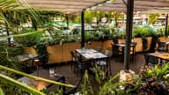 Outdoor Terraces