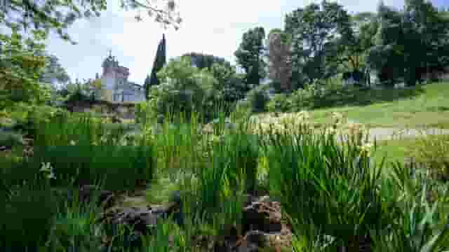 Private Garden