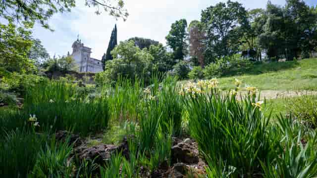 Private Garden in La Place Roma, perfect for luxury garden wedding or corporate retreat venue.