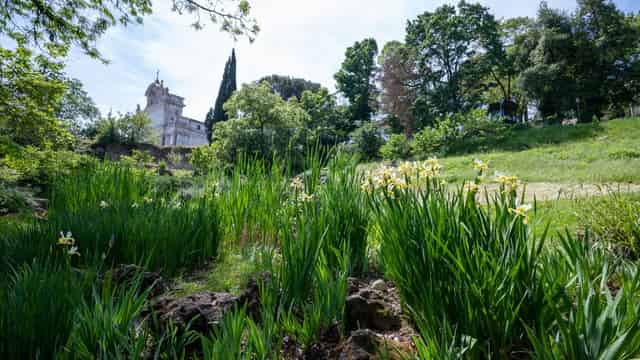 Private Garden