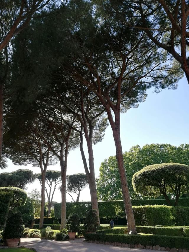 Sala Gemma