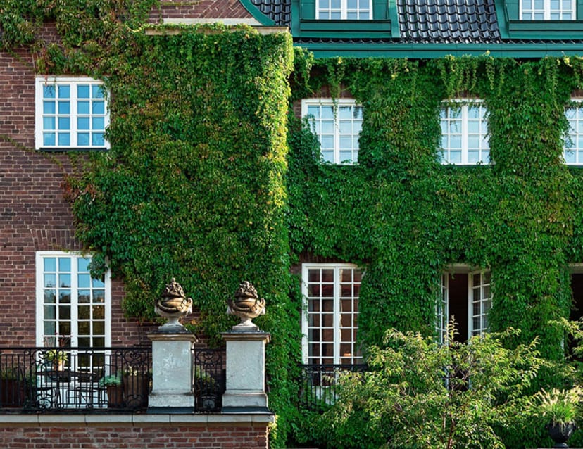 Soigné brick façade with ivy: ideal garden party and upscale wedding venue backdrop.