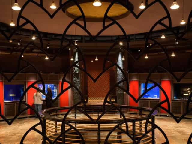 Gold Room