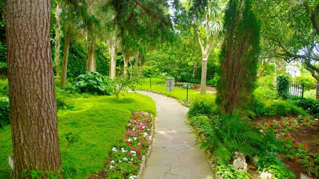 The Garden of Olive Trees