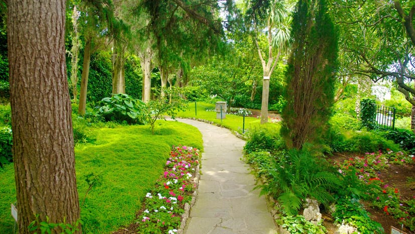 Garden of Olive Trees, Villa Parco della Vittoria: serene outdoor garden reception venue.
