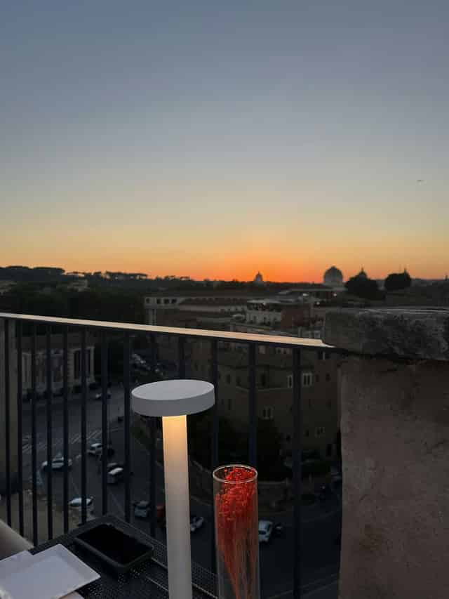 Rhinoceros Rooftop