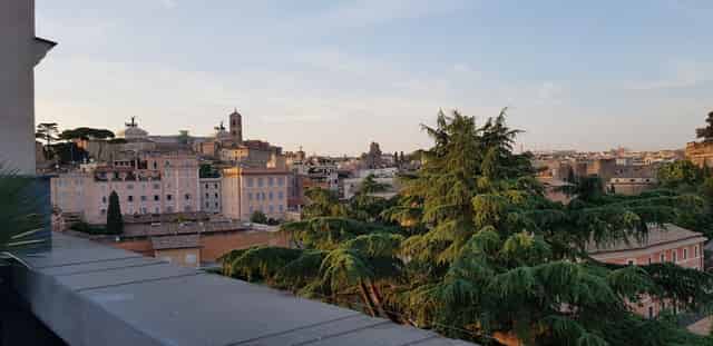 Rhinoceros Rooftop