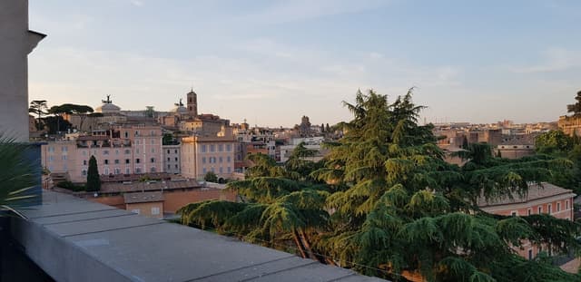 Rhinoceros Rooftop