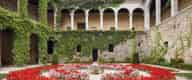 Party Venues