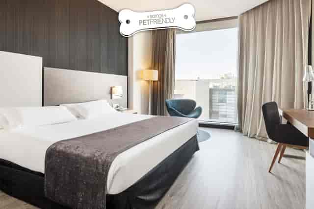 Modern business hotel room with workspace for bleisure travel and corporate events.