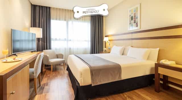Pet-friendly hotel room at ILUNION Pío XII for business travel and corporate lodging.