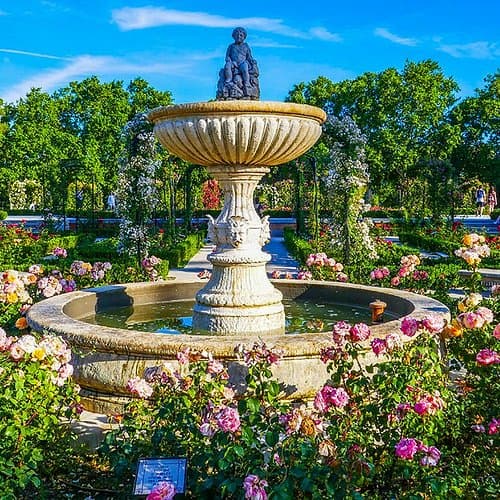 Outdoor Garden