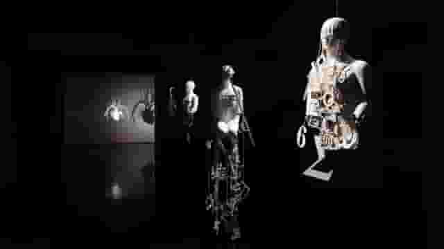 Exposiciones