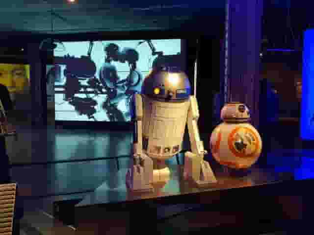 Exposiciones
