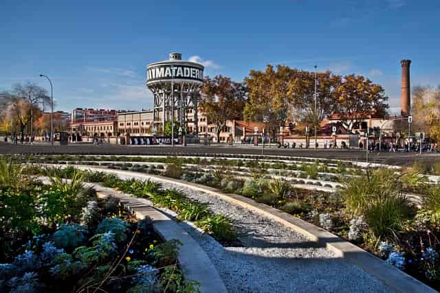 Terrario