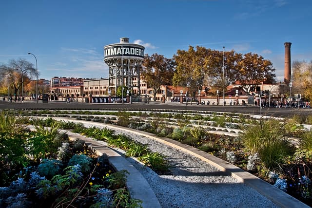 Terrario