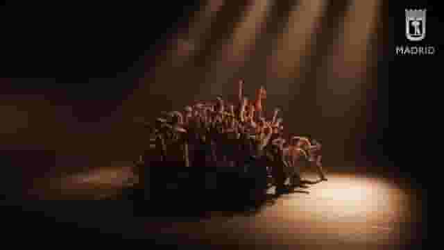 Centro Danza Matadero