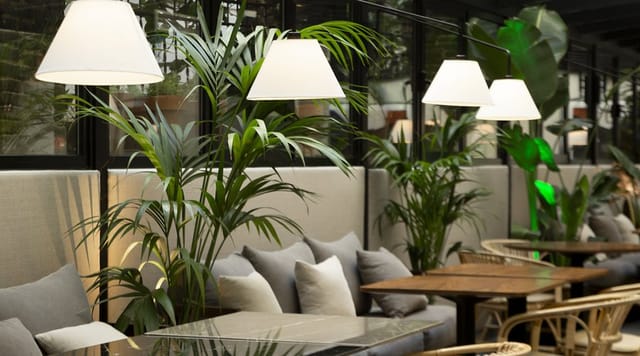 Biophilic lounge for high-end corporate retreats and professional networking at ICON Embassy.
