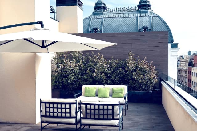 Rooftop Deluxe with Terrace