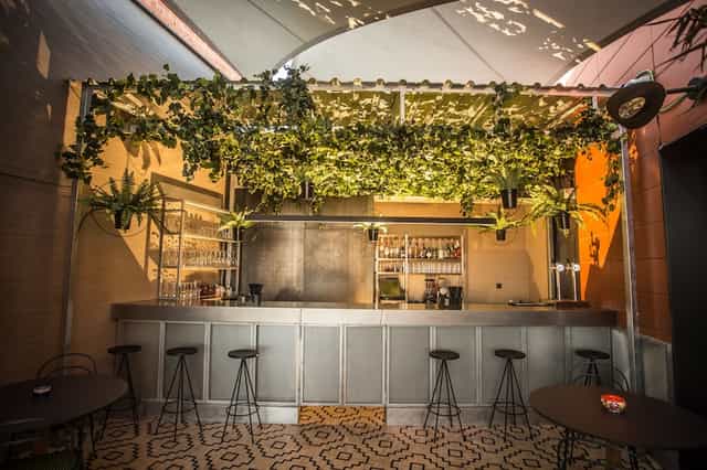 Biophilic bar at Hotel Indigo Terrace, ideal for intimate networking receptions and corporate events.