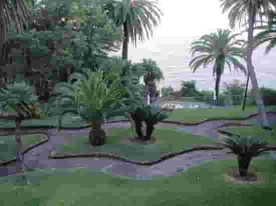 Palm Garden