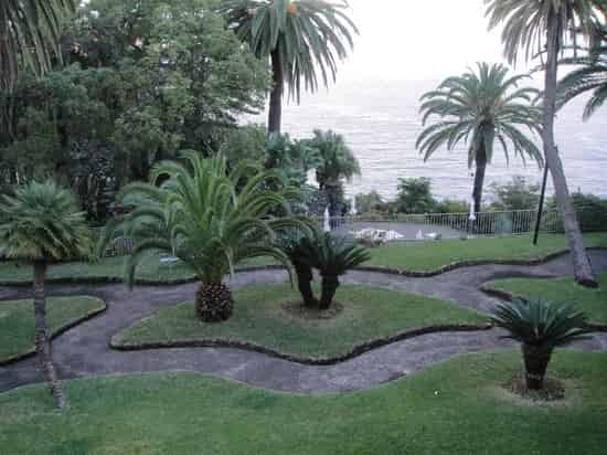 Palm Garden