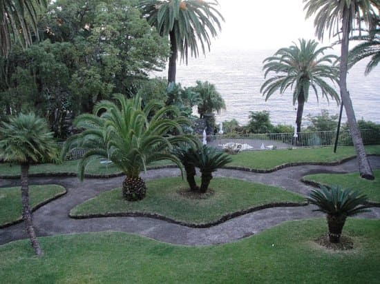 Palm Garden