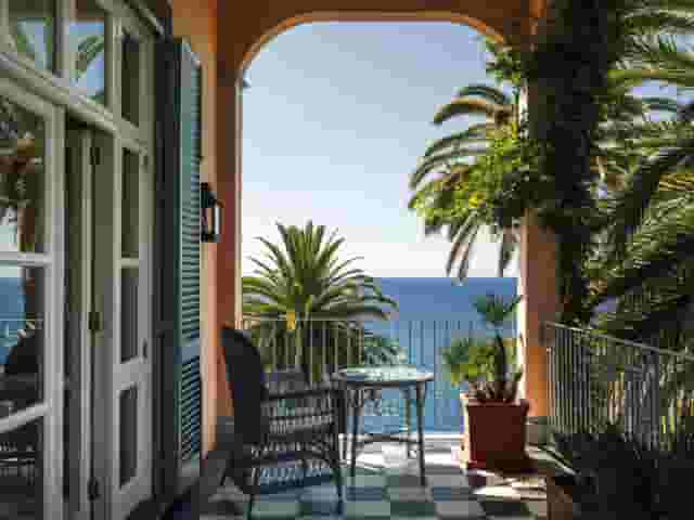 Palm Garden