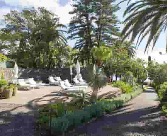 Palm Garden