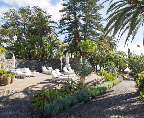 Palm Garden