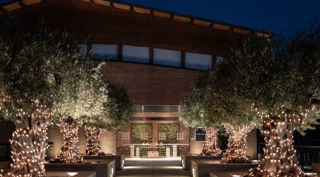 Uzalacaín La Finca conference hall with lit olive trees for evening gala or corporate reception.