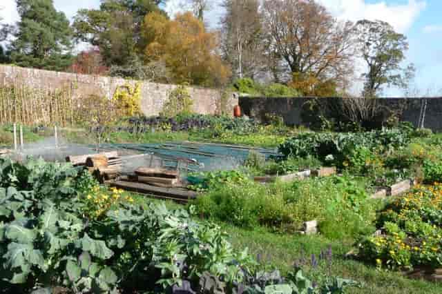 Rustic garden at Monkton Wyld Court for farm-to-table corporate retreats and wedding events.